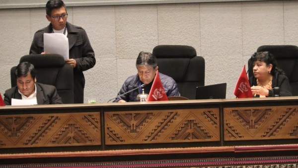 Sesión de la Asamblea Legislativa. Foto: Cámara de Diputados.