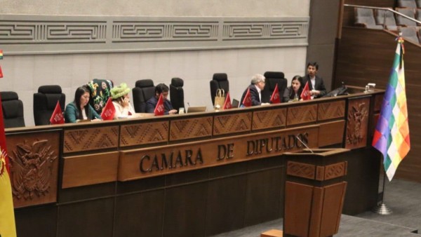 Sesión del pleno de la Cámara de Diputados. Foto: RRSS