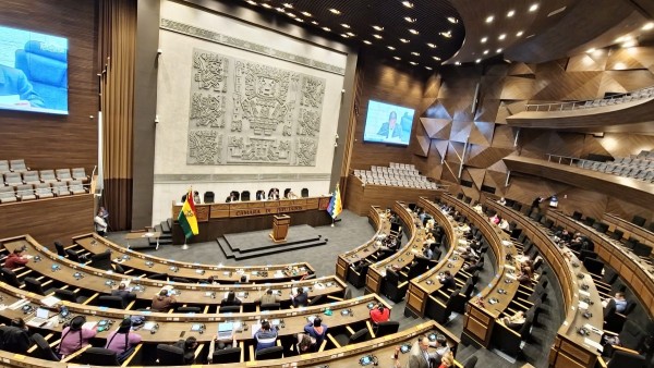 Una sesión de la Cámara de Diputados. Foto: Diputados