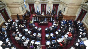 Senado de Argentina rechaza el decreto de desregularización de la economía de Milei