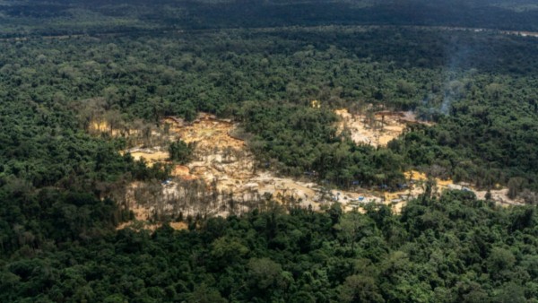Vista aérea de zonas de extracción ilegal de oro en el territorio indígena Yanomami, cerca de la comunidad Ye’kwana, en Waikás, Brasil. Foto: Rogério Assis/ISA