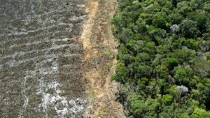 Día de la Madre Tierra: Ambientalistas critican al Gobierno por su falso discurso pachamamista