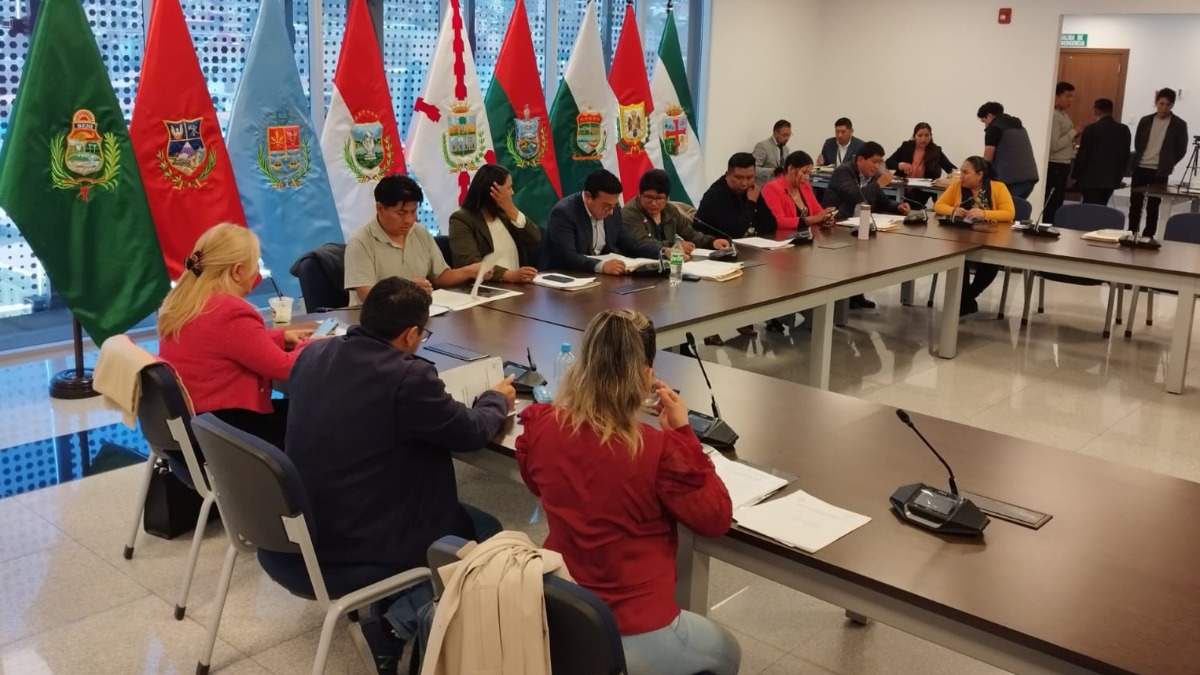 Comisión de Mixta de Justicia Plural. Foto: ANF
