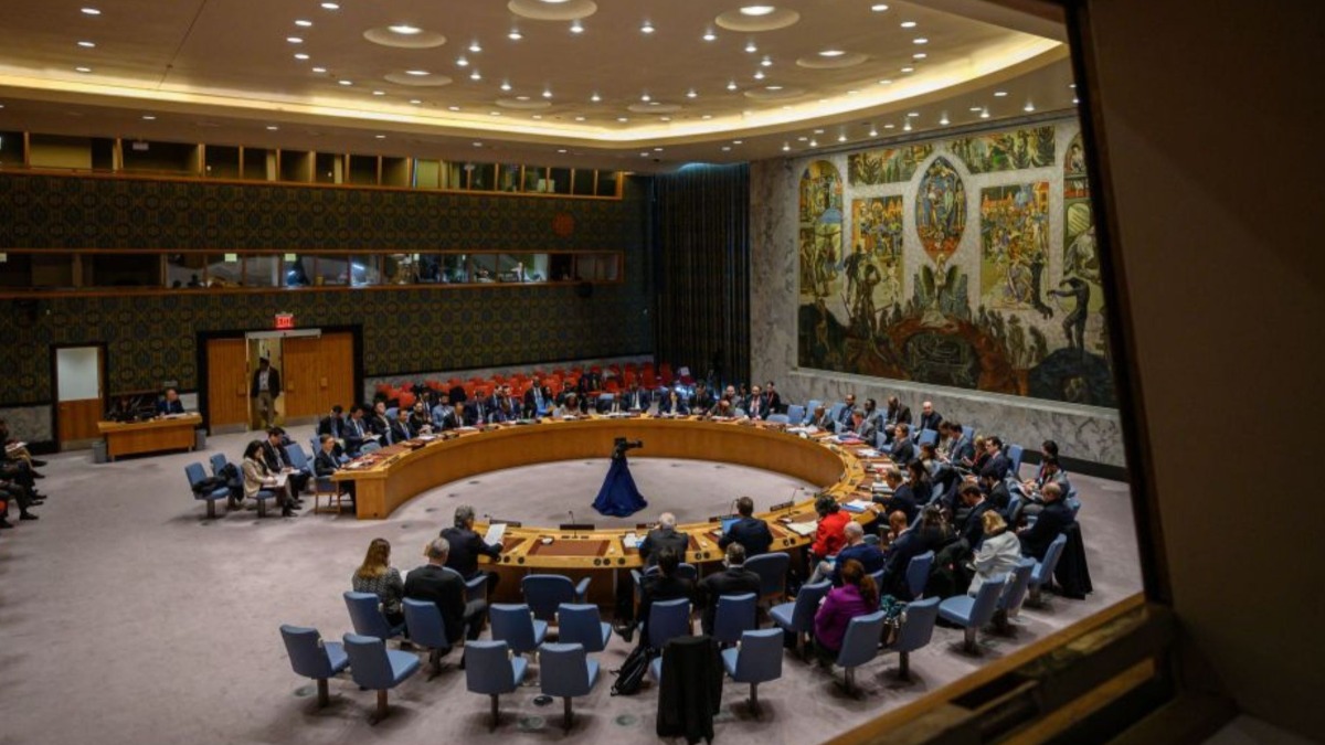 El Consejo de Seguridad de Naciones Unidas.