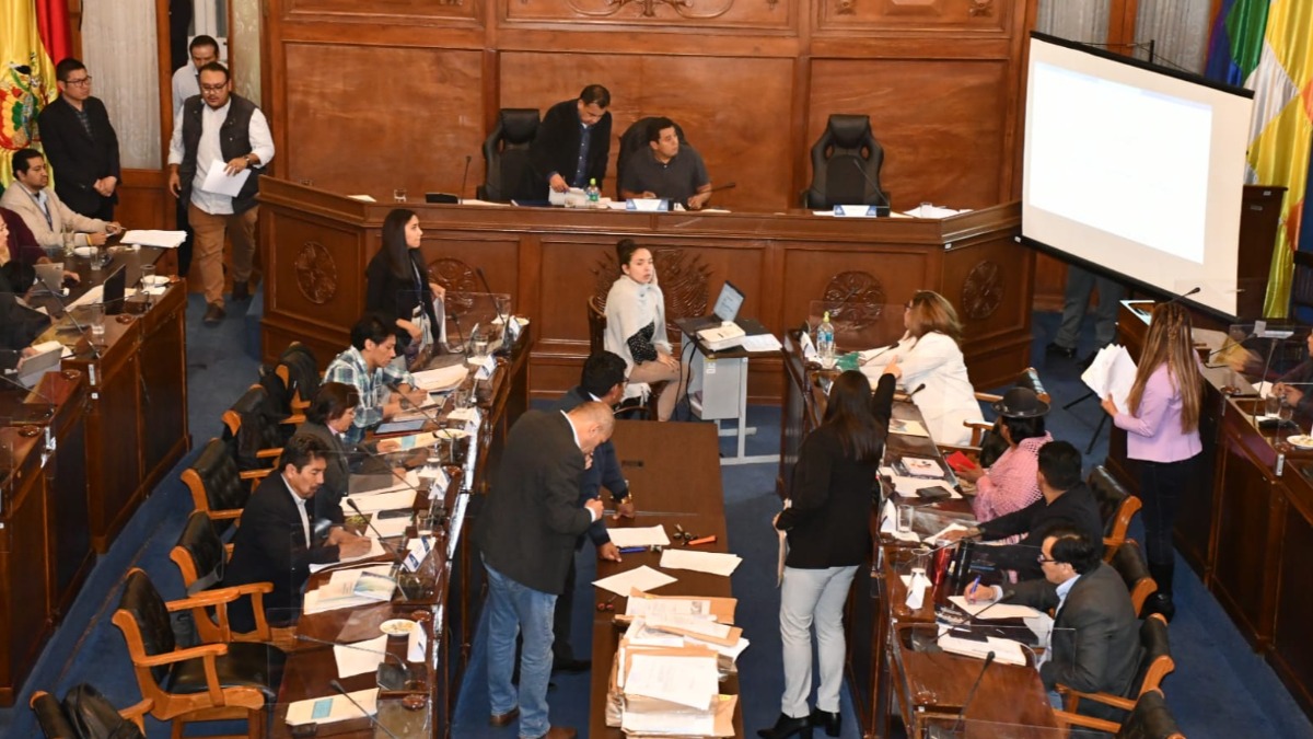 La sesión de la Comisión Mixta de Constitución. Foto: Senado