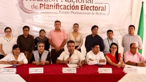 Sala plena del Órgano Electoral. Foto: TSE