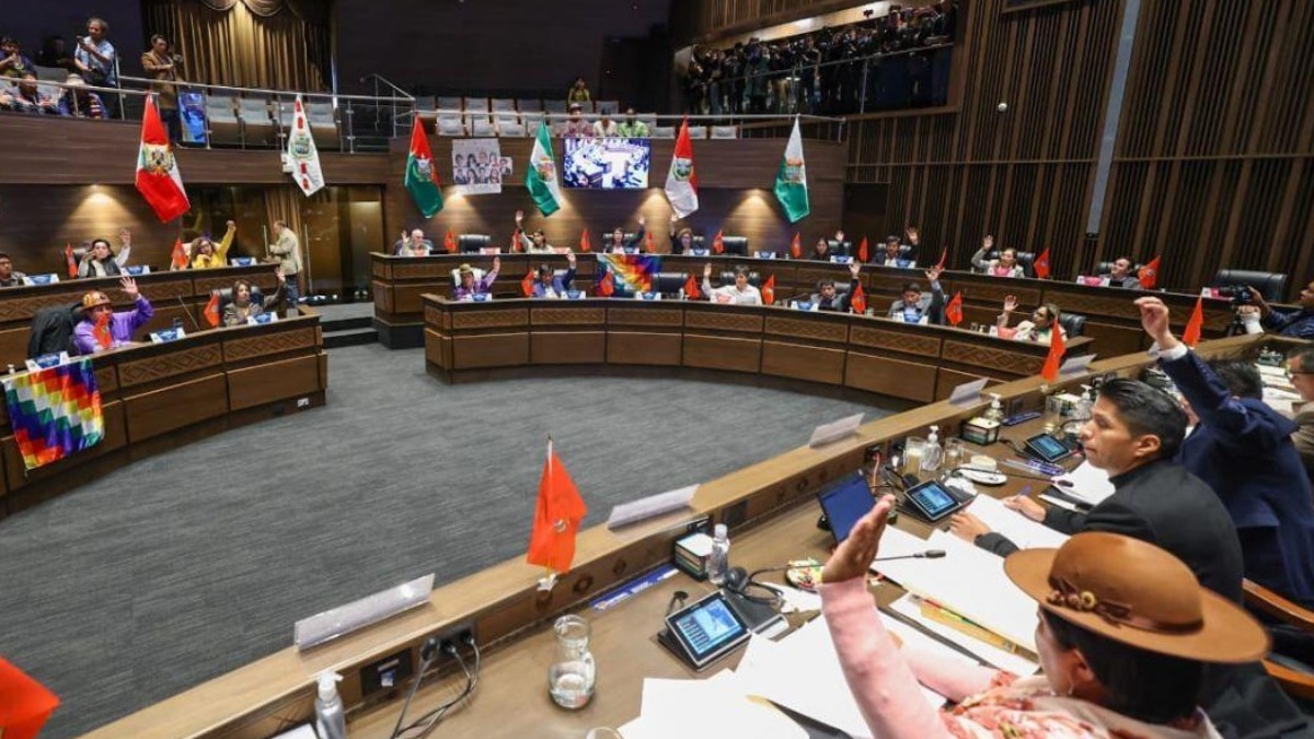 Cámara de Senadores. Foto: Internet
