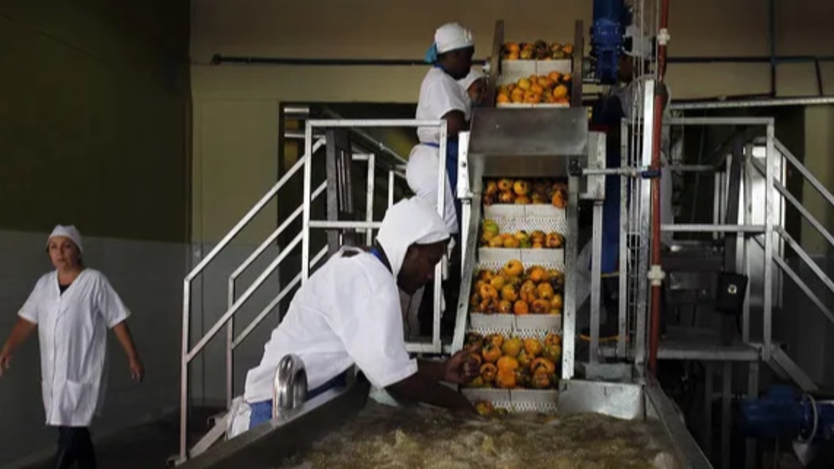 Empresa de fruta en Cuba.
