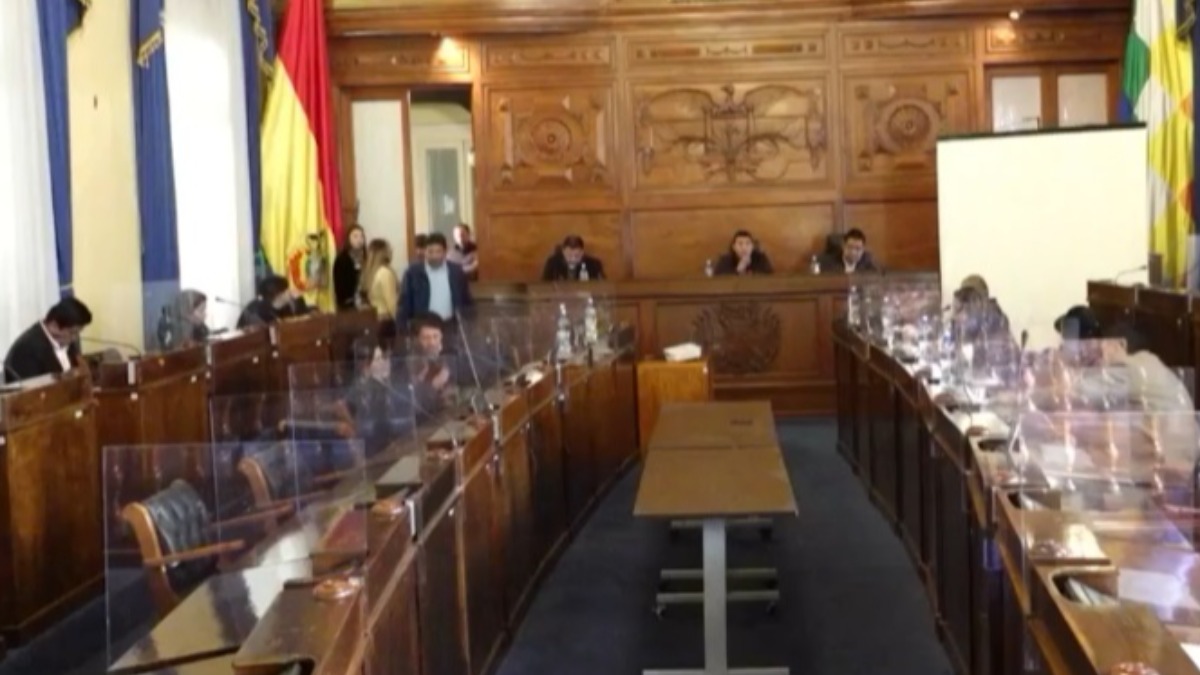 Comisión Mixta de Constitución. Foto. captura