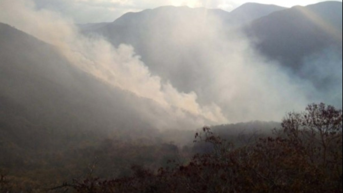Imagen referencial. Incendios dentro del Parque Madidi.