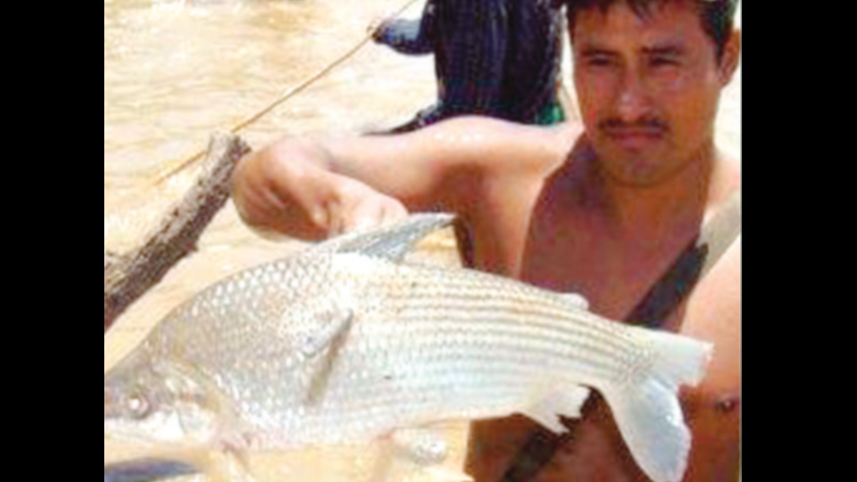 La pesca en los rios del Beni. Foto: Alcides Vásquez.