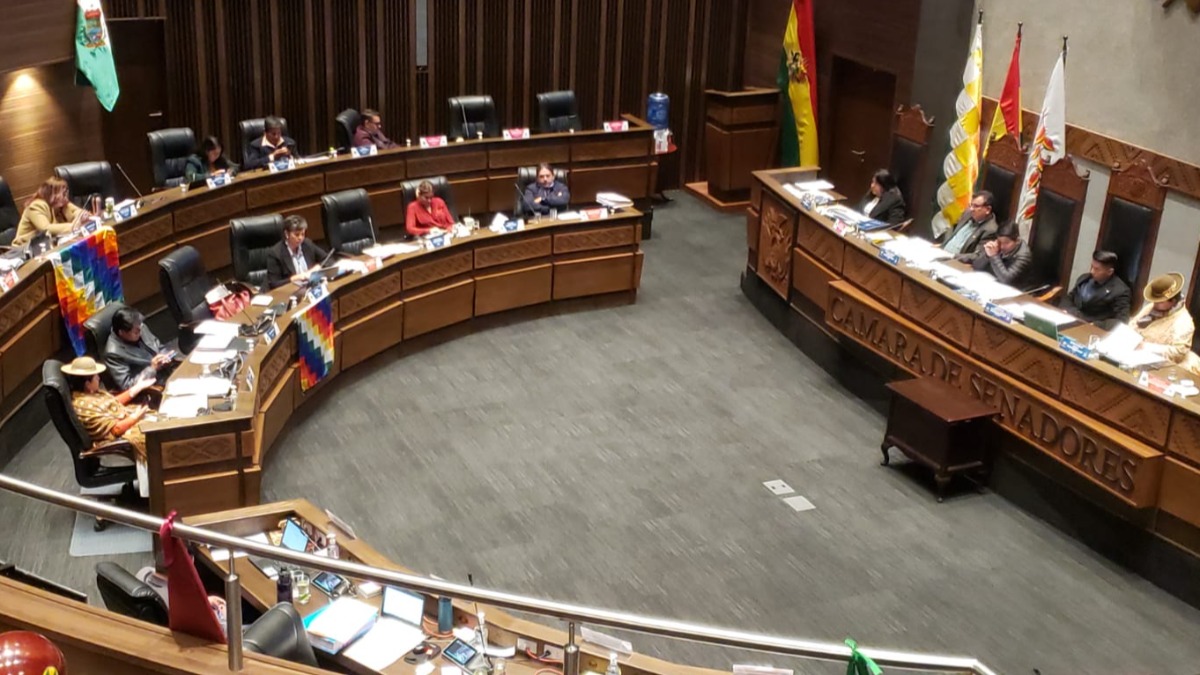 Sesión del Senado de este jueves. Foto: ANF