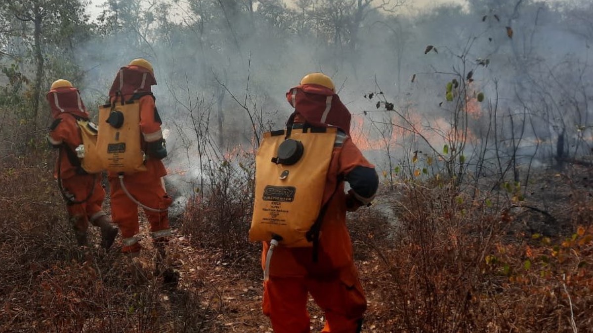 Bomberos forestales sofocan el incendio en la comunidad San Antonio, en Santa Cruz. Foto: Gobernación de Santa Cruz.