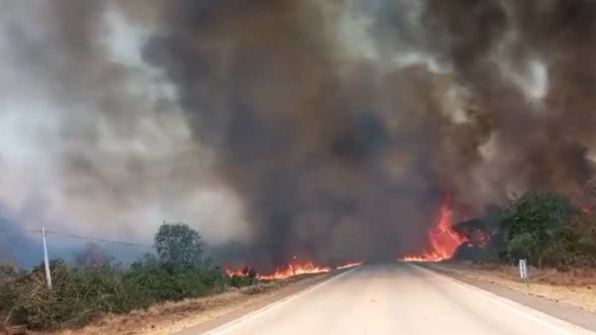Incendios en Roboré, Santa Cruz. Foto: Captura