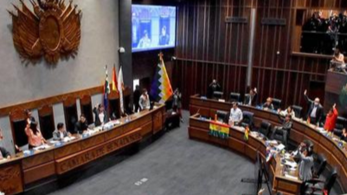 Sesión de la Cámara de Senadores. Foto: Internet