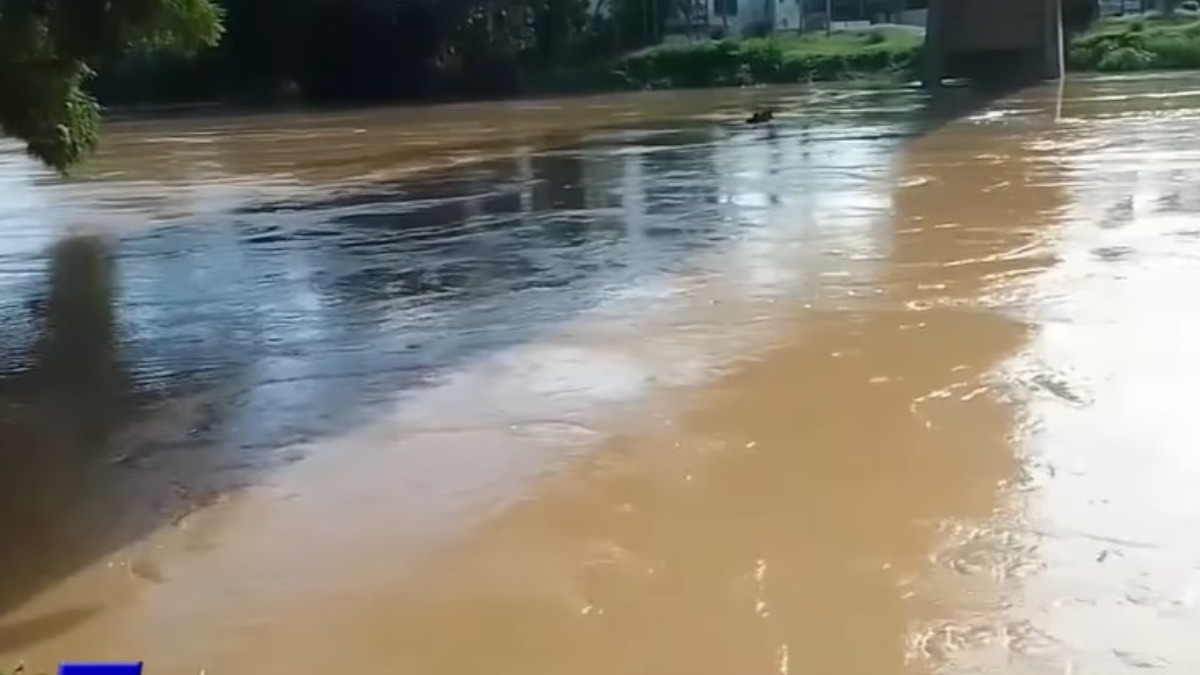 La aguas del río Acre crecieron hasta los nueve metros, solo faltan dos para su desborde. Foto: Captura