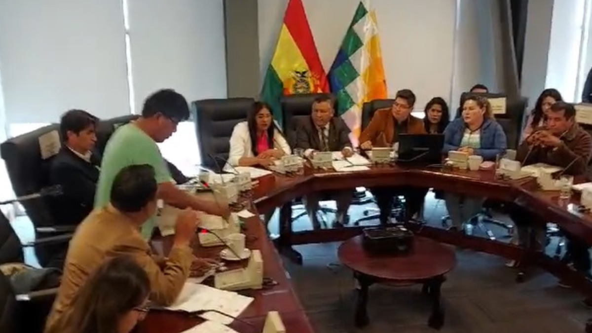 La sesión de la comisión de Economía Plural de Diputados. Foto: ANF