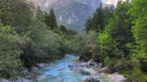 El clima frena la expansión de las plantas más que la geografía