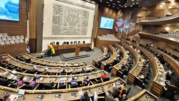 Sesión de Diputados en la que se aprobó la comisión de investigará a Botrading. Foto: Diputados