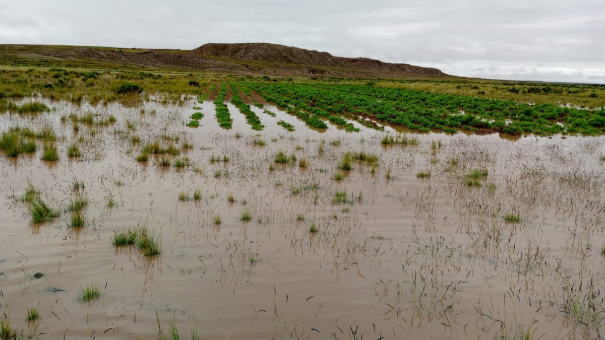 Comunidades de la provincia Pacajes, de La Paz, también son afectadas por las lluvias. Foto: Unitel