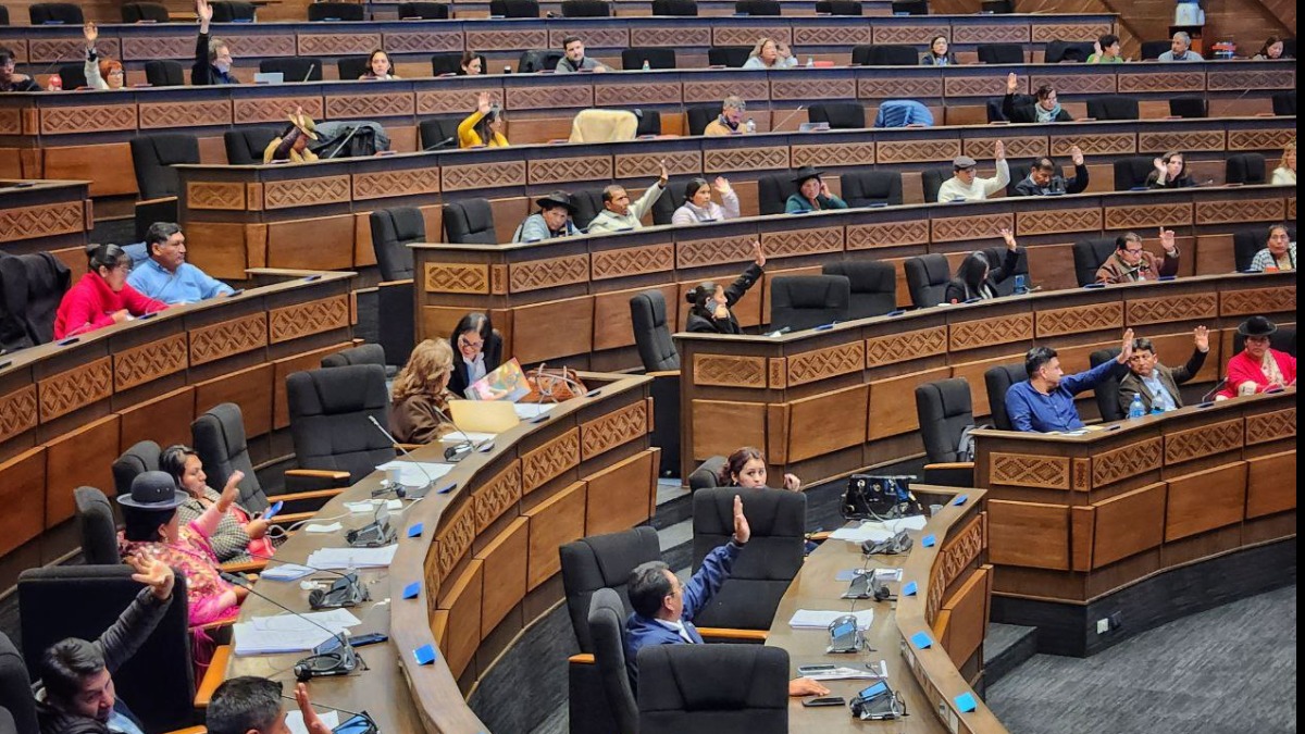 Sesión en la Cámara de Diputados. Foto: RRSS