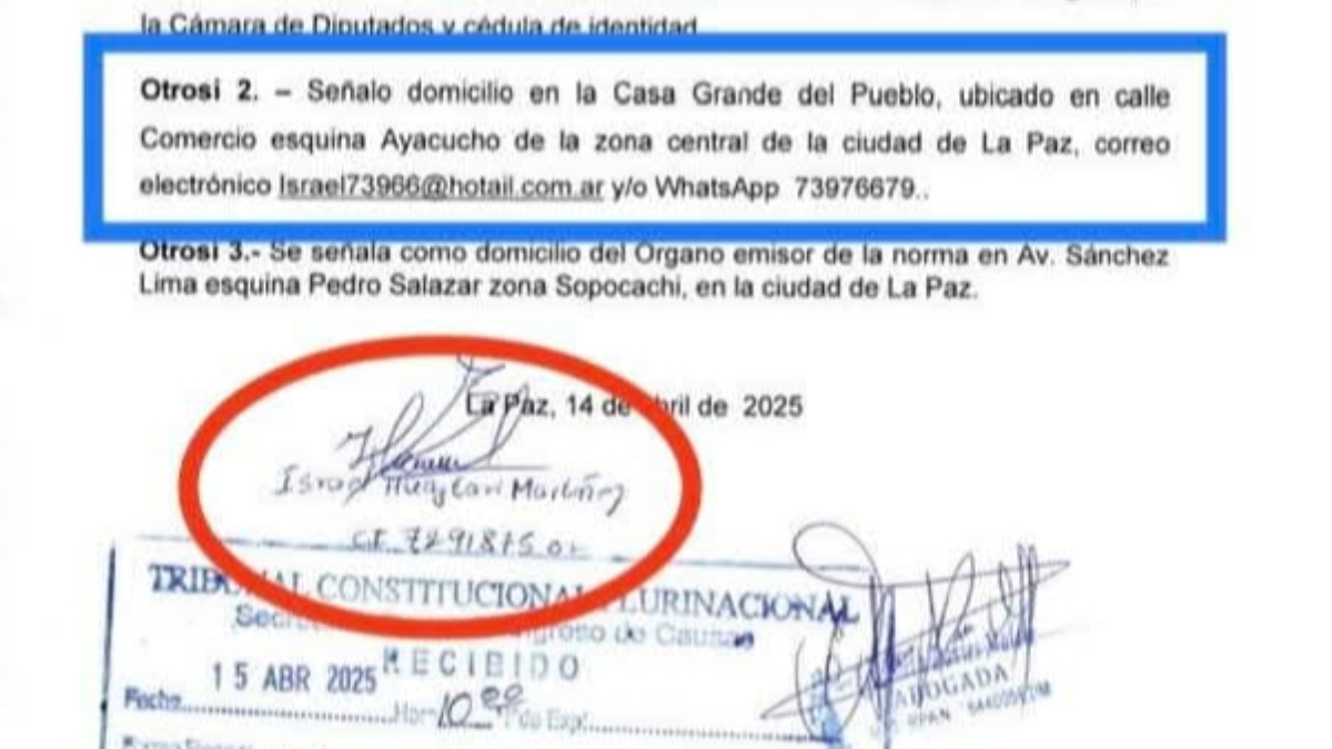 Captura del documento de la acción de inconstitucionalidad.