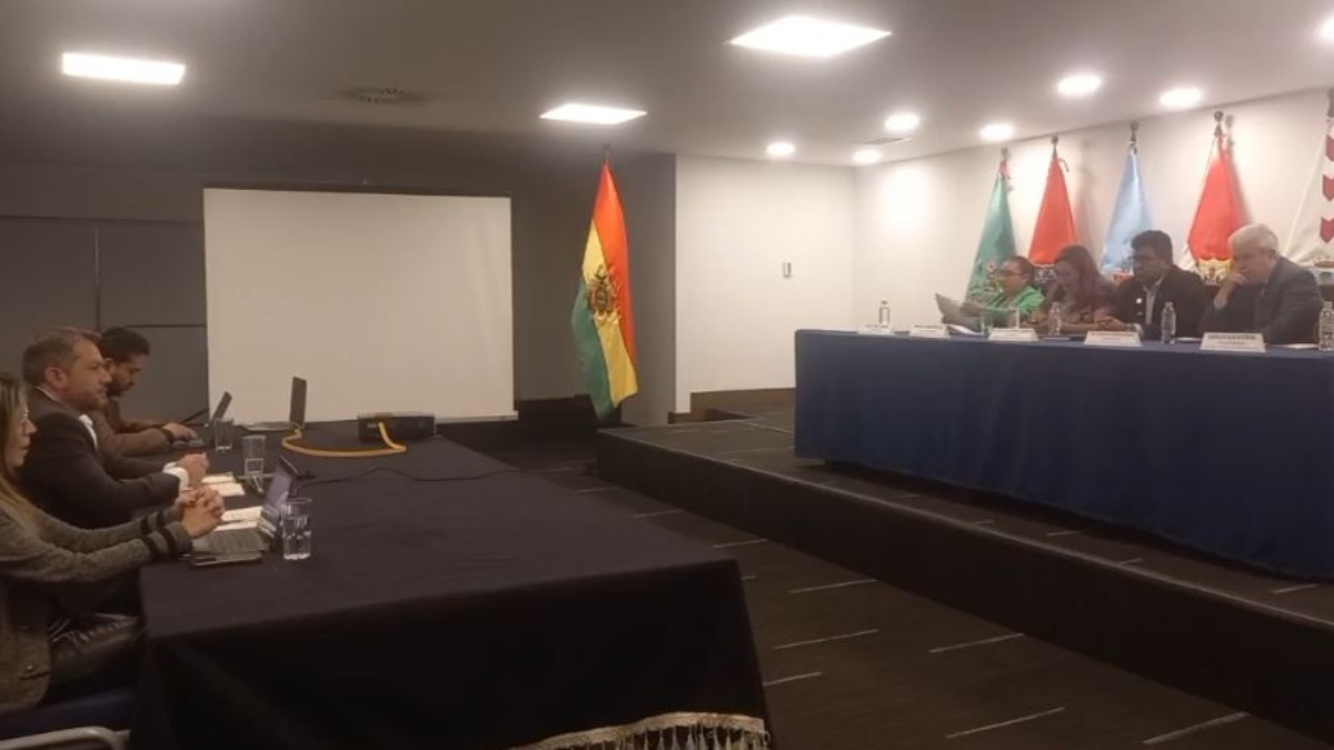 Comisión de Diputados que investiga a la empresa Botrading. Foto: Captura