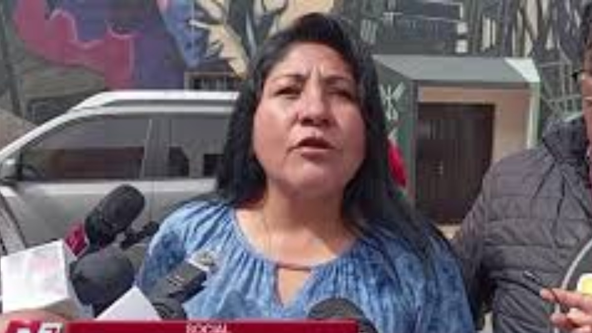 Presidenta de la Confederación Nacional de la Micro y Pequeña Empresa (Conamype), Helen Rivero. Foto: captura de video