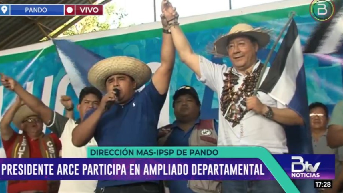 Transmisión del acto de proclamción de Luis Arce. Foto. Captura