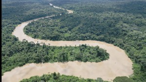 Ingenieros forestales alertan que decreto impulsa desmontes y apropiación de tierras en reservas fiscales