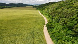 Las tierras del hijo del presidente Luis Arce