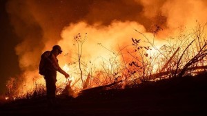 Investigación identifica a los principales actores de la quema de 12,6 millones de hectáreas en 2024