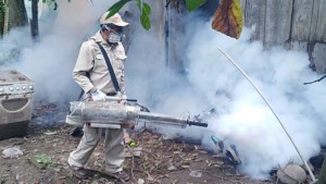Declaran alerta naranja en Santa Cruz por el incremento de casos de chikungunya