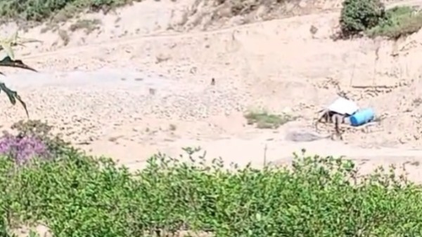Desde ese lugar se ven destellos de disparos. Foto: captura video