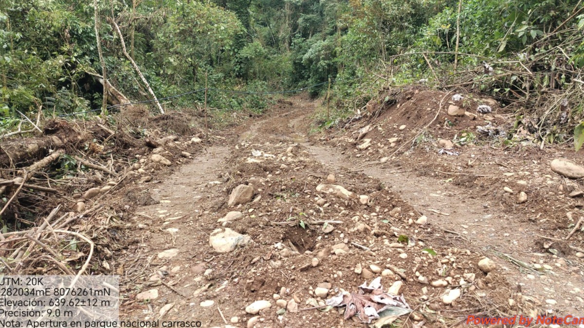 Así se van abriendo los caminos en el Parque Carrasco, Cochabamba. Foto: Gentileza