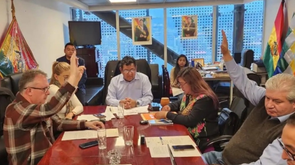 Comisión de Diputados que investiga a la empresa Botrading. Foto: Cámara de Diputados