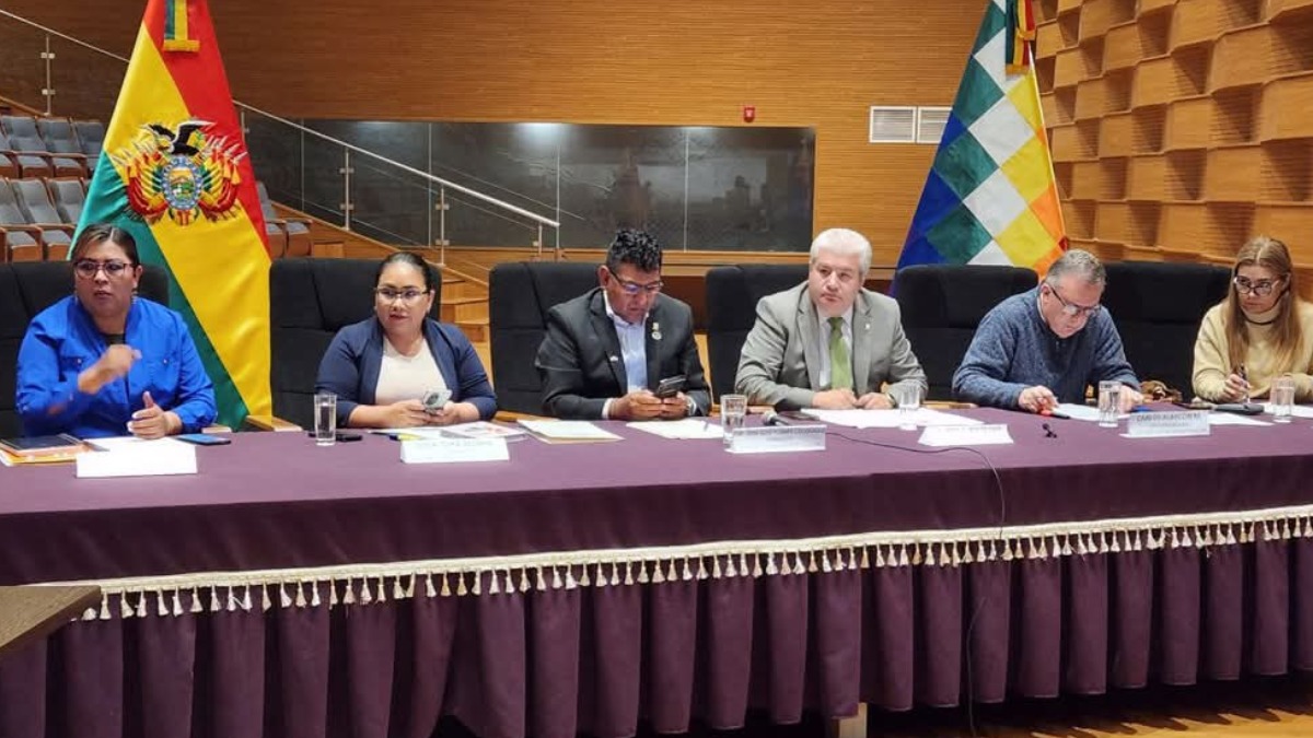 Comisión especial de Diputados que investiga los contratos que se adjudicó Botrading S. A. Foto: Diputados