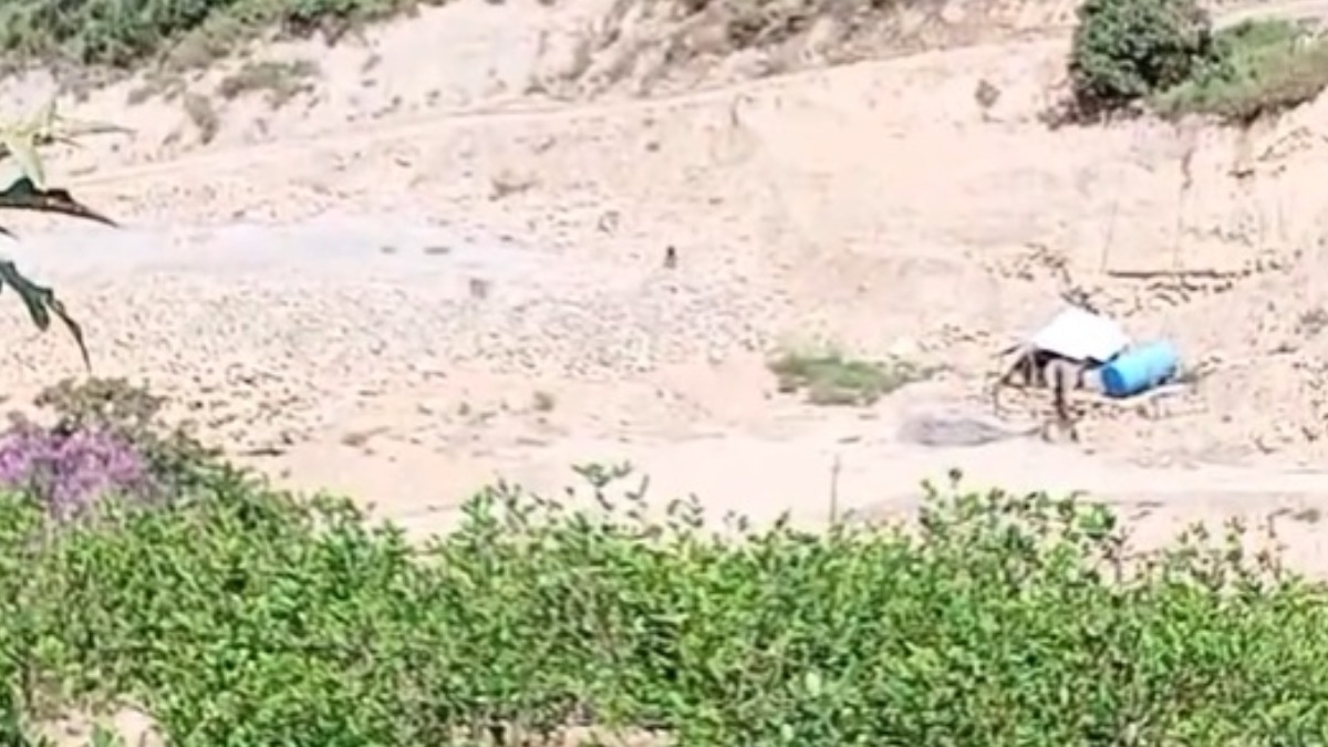Desde ese lugar se ven destellos de disparos. Foto: captura video