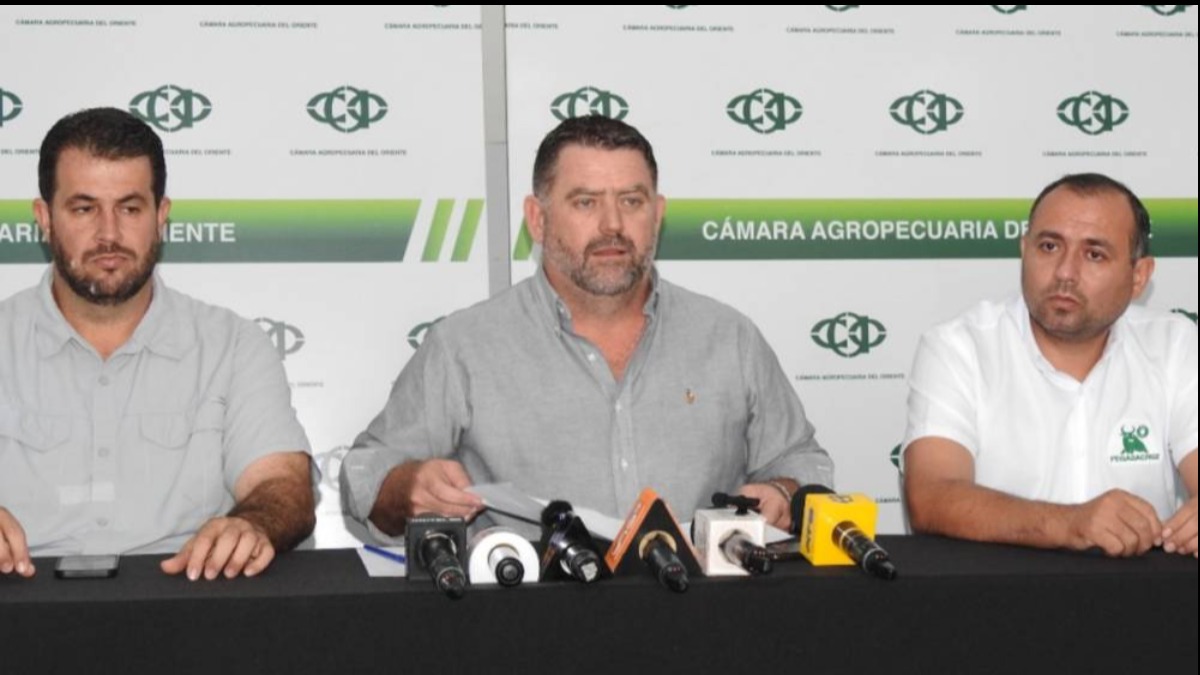 Presidente de la CAO, Klaus Frerking. Foto: Internet