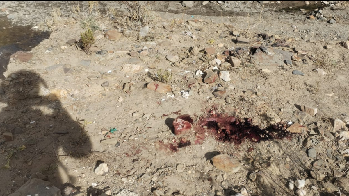 Aquí fue abandonado el cuerpo de uno de los subtenientes.