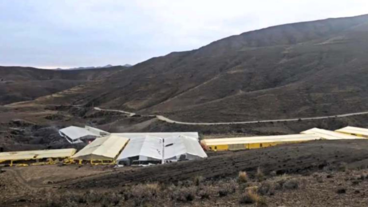 Foto: Carpas de marihuana en 