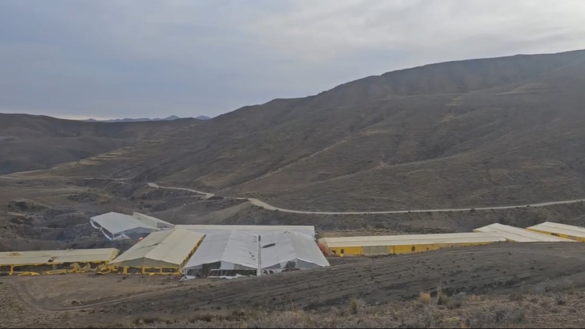 Los viveros se encontraban en las serranías de la comunidad de Lagunillas, en Potosí. Foto: Captura