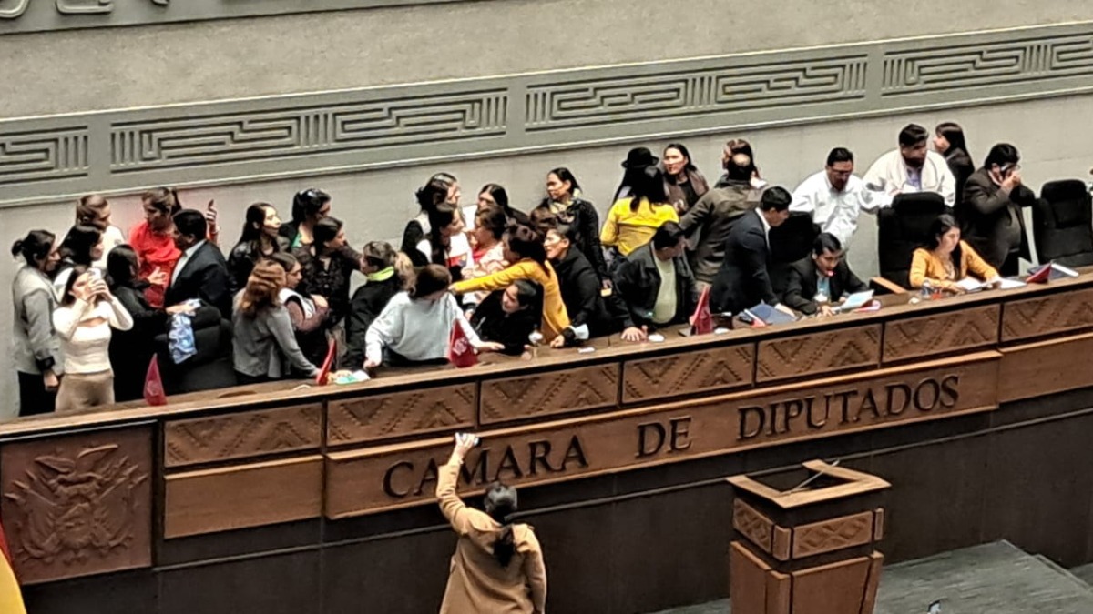 Agresiones en la sesión de ayer de Cámara de Diputados. Foto: ABI