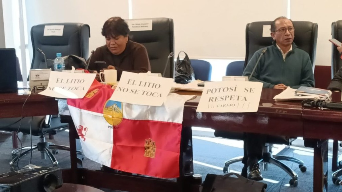 Al menos 10 legisladores permanecieron en la vigilia en la comisión de Economía en Diputados. Foto: Internet