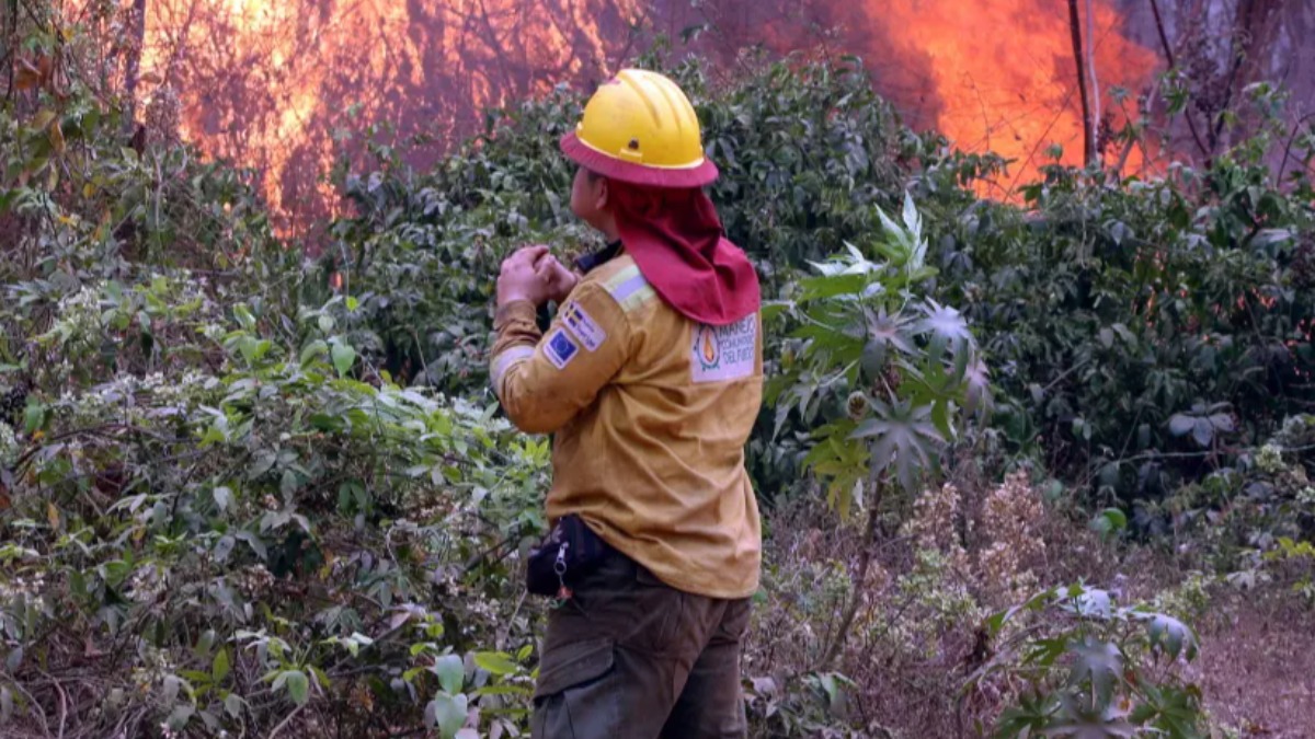 En 2024, el fuego arrasó con 12,6 millones de hectáreas. Foto: Unitel