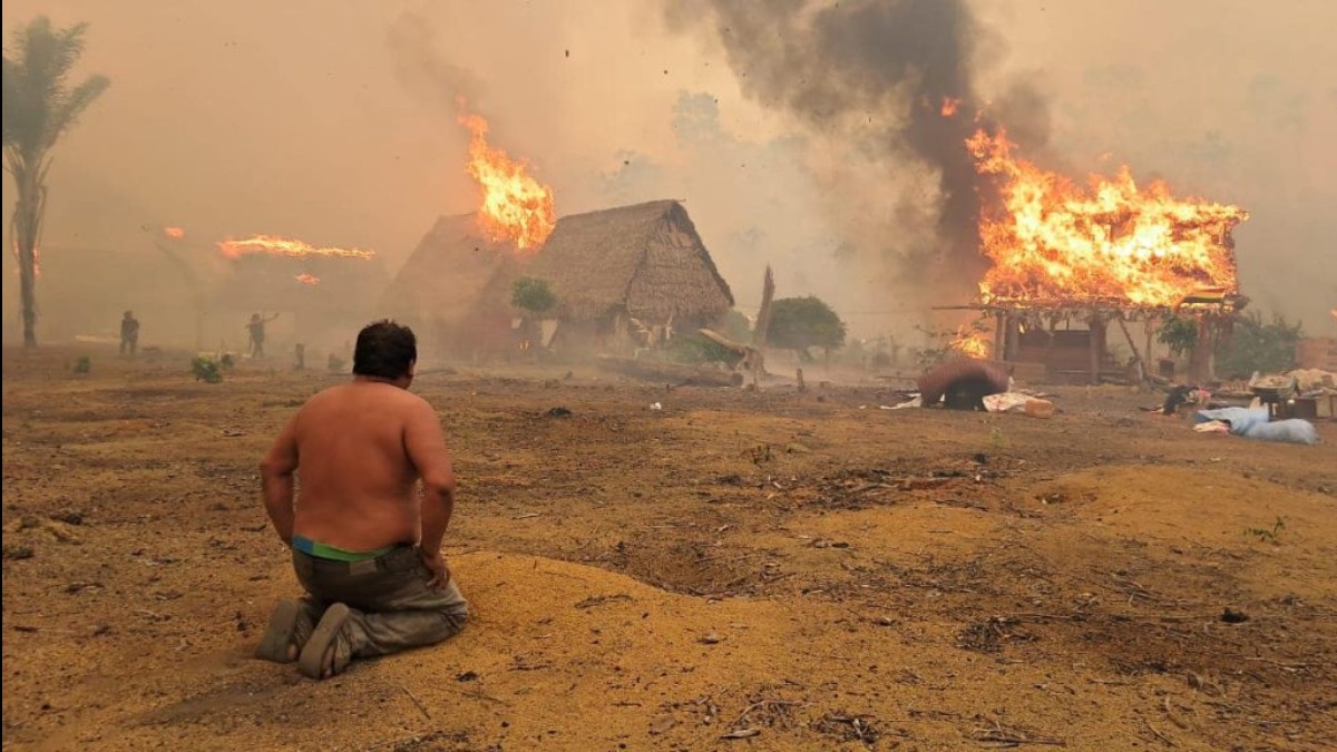 En 2024, el fuego arrasó con 12,6 millones de hectáreas. Foto: Internet
