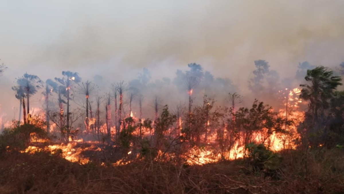 Incendios en Bolivia que contaminaron el medio ambiente. Foto: Internet