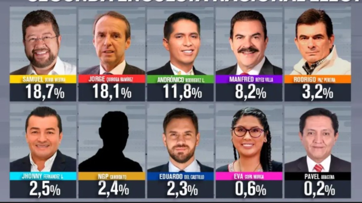 Resultados de la encuesta. Foto: Captura