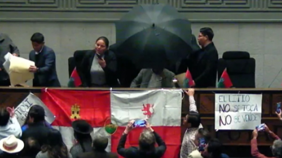 Sesión en la Cámara de Diputados. Foto: Captura