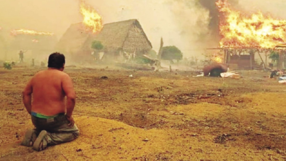 En 2024, el fuego arrasó con más de 12 millones de hectáreas. Foto: Internet